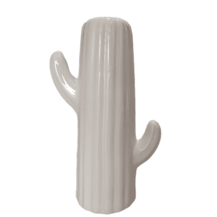 POTS N DECORS CACTUS SHAPE BOTTLE FLOWER VASE